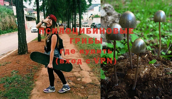 круглые Алексин