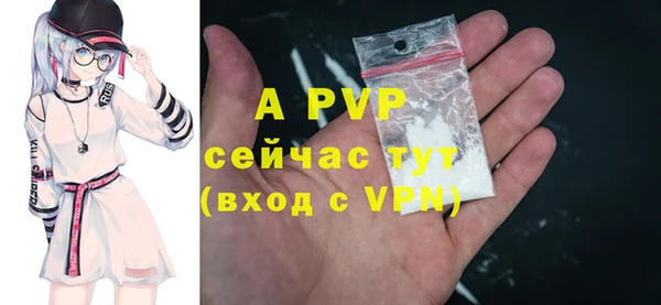 шишки Абаза